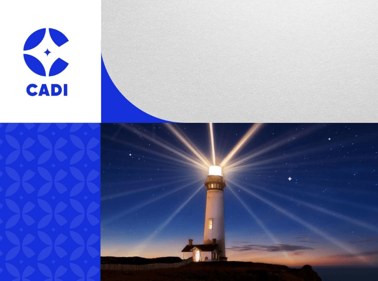 CADI Comonay Profile